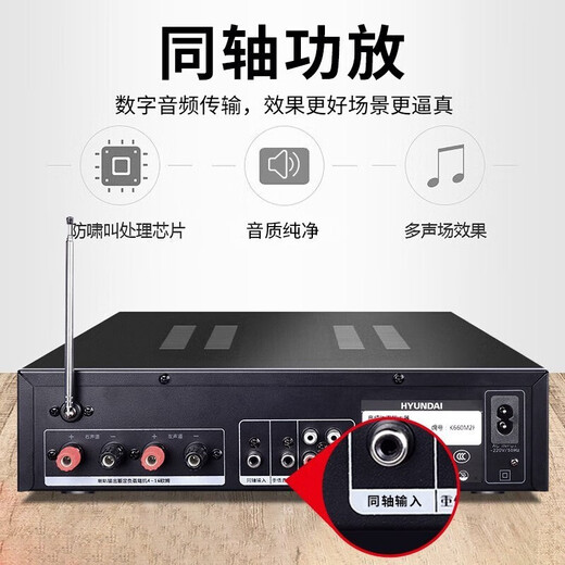 HYUNDAI现代家庭影院ktv音响套装家用k歌电脑电视客厅卡拉ok全套会议室卡包店铺专业功放音箱设备 【经典版】10吋音响套装