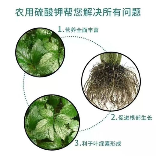 Agricultural Potassium Sulfate General Fertilizer for Fruit Trees and Vegetables Fully Water-soluble Potassium Fertilizer Nutritional Quick-acting Potassium Sulfate 50kg 5Jin Jin equals 0.5kg Packed