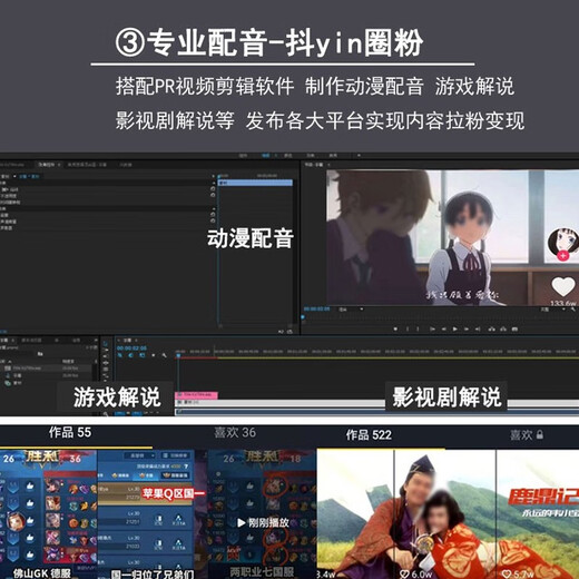 Burren Bell BL520X-USB condenser microphone audiobook recording novel Himalaya professional dubbing mobile phone computer microphone recitation narration broadcast equipment computer recording dubbing entry-level model with monitoring headphones