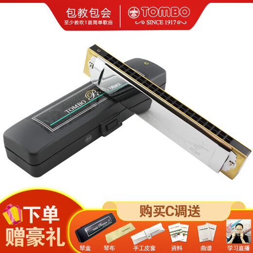 通宝（TOMBO） 日本原装进口21孔复音口琴3521演奏级专业款成人表演录音送人 21孔E调
