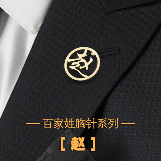 诗筠（SHIJUN）男士西装胸针百家姓渡金胸花镂空金属领针青领口扣新郎伴 金色 请备注图中有的文字