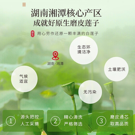 Fudonghai Lotus seeds (large) 400g Xiangtan grinding and core removal, original soup, ingredients, boiling red dates and wolfberry soup