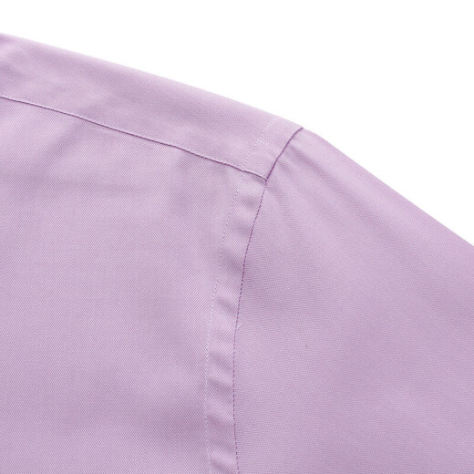 YOUNGOR pure cotton Oxford DP no-iron 26 new easy-care business casual long-sleeved shirt purple 40