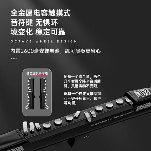 Shengrui Hair Tube SR6000 Instrument de musique débutant pour le saxophone domestique Silk Silk Blow Tube Standard