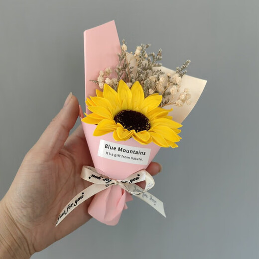 Wilkie pocket bouquet mini small bouquet holding roses dried flowers fake flowers Teacher's Day gift meeting flowers romance in pocket [a bouquet of red roses]