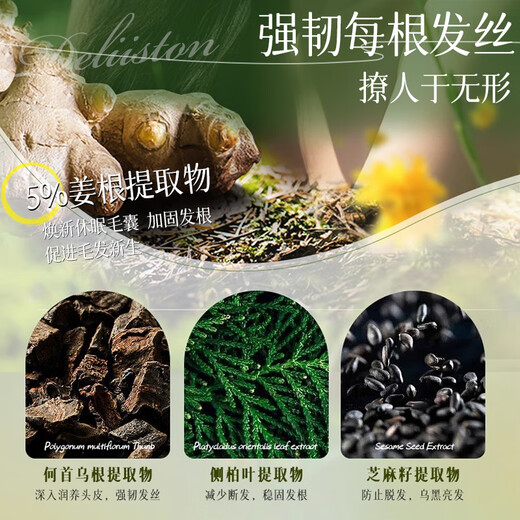 Deliston anti-hair loss shampoo, ginger king, hair growth, anti-hair loss, oil control, fluffy herbal hair-fixing and long-hair growth