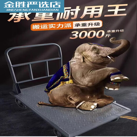 卡贝洛加厚钢板小推车拉货手推车搬运车工用平板车便携重型 125*756寸国标尼龙轮环保无漆重