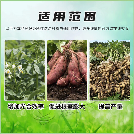 60% Choline Chloride Garlic Growth Regulating Sweet Potato Peanut Potato Growth Regulating Pesticide Pesticide 50ML 10ml*5 Bags Hot Style