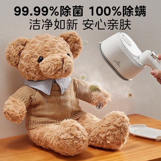 Midea Hanging Machine Handheld Electric Iron Household Hanging Perm Travel Business Travel Portable Small Iron Group Purchase Gifts [New Product Listing] YS-10T1