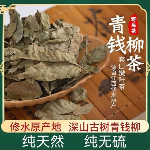 Beijing Tongrentang Qingqian Liuyuan Leaf Tea Jiangxi Wild Ancient Tree Raw Leaf Tea Genuine Golden Willow Health Tea Qingqian Liu Sugar-free Inner Court Used Original Leaf Green Qian Liu 500g