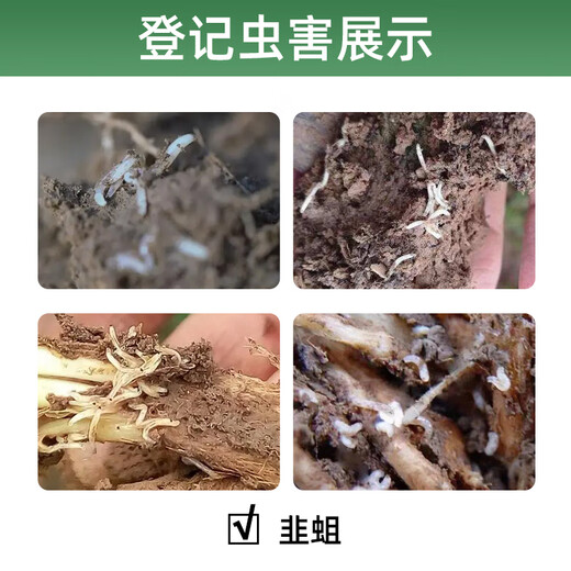 Yiqi Hacke 2 % Diphenylthianidin, Broadcast-Typ, oberirdisch und unterirdisch, schädlingssicheres Gemüsegranulat, spezielles Insektizid, 800 g