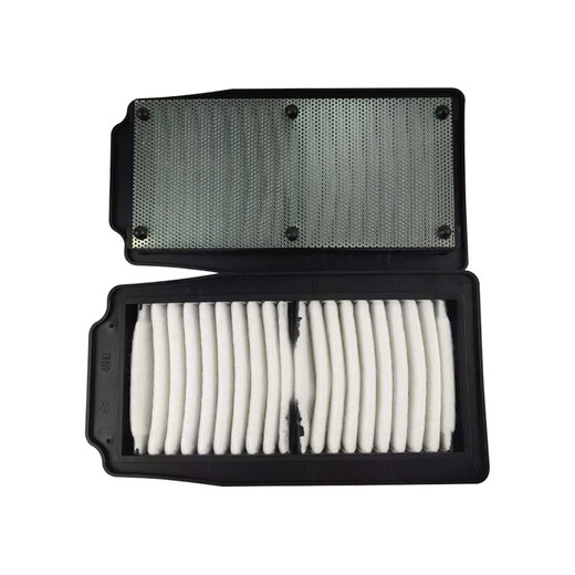 Bailechunhe Xinyuanshi Motorrad GW250DL250DR300GSX250R-A Luftfilterelementluftfilter Montage 10 Luftfilter 13780-48H00GW250D