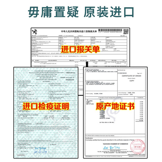 尚轩黑乌龙茶 台湾原装进口 高山茶 日本油切技法 清解油脂 300g