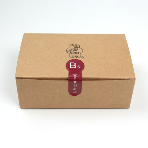 Dunhuang brand guzheng B-type string 163 guzheng strings universal set of strings for performance examination strings can be sold in bulk Shanghai National Musical Instruments Factory No. 1 9 strings