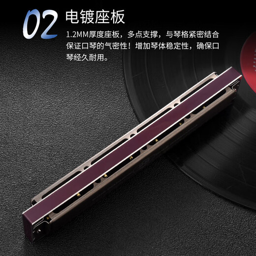 天鹅（SWAN）德国进口音簧高端重音口琴专业演奏级初学者成人复音C调 28孔 高端重音【带音标】浅木纹