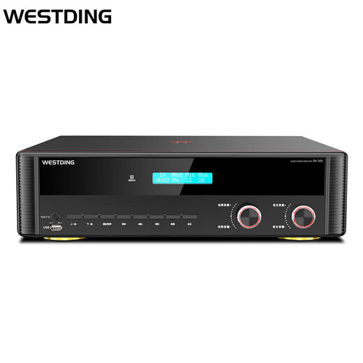 Westin Home KTV Amplificador High Power Card Pack Audio Karaoke Stage Stage Bluetooth Amplificador conectado RX-300