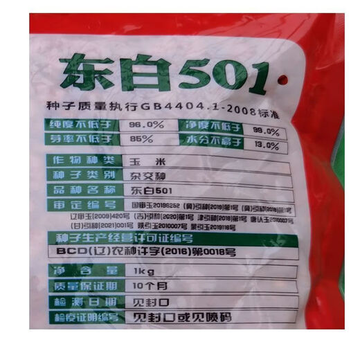 东白501南北方通种大棒白玉米种子稳产杂交春播夏播早熟粮食饲料 东白501原装1包2斤