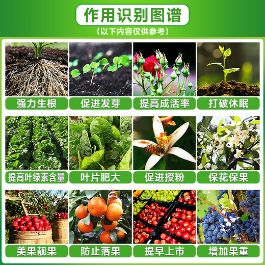 Sodium nitrate naphthalene acetic acid, wheat growth regulator, fruit tree growth promotion, rooting and seedling strengthening agent, tea tree germination accelerator, sodium nitrate naphthalene acetic acid 1000ml*1 bottle