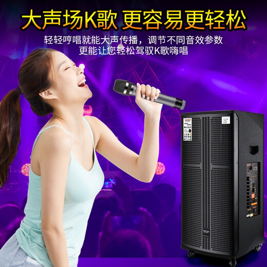 Songchuan International SG30-10 outdoor high-power performance karaoke singing KTV speaker set mobile audio singing microphone SG11-12 (12-inch remote speaker + outdoor karaoke machine)
