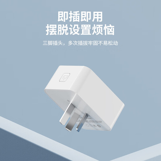 国际电工电动车充电保护器自动断电插座电瓶车防过充插座智能充电插座 插头款-充满自动断电【白色】