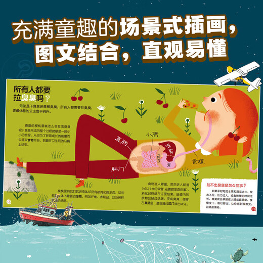 My Little Questions, 50 volumes in a gift box, Humanities, Life, Geography, Animals and Human Body Knowledge, Picture books for children aged 4-6-10 years old, Curiosity, Young, Science Bridge Books, Kindergarten Fun Extracurricular Reading for Primary Schools, Gift Box, My Little Questions, Series 1-3 (25 volumes)