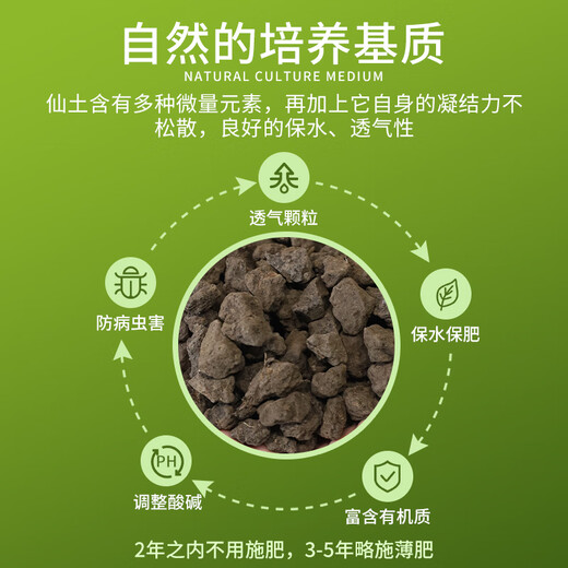 Devodo fairy soil 2.5kg (6-12mm) gardening potted green plant flower fertilizer succulent granules soil orchid Clivia plant material