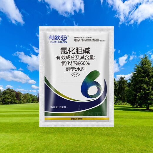 60% Choline Chloride Garlic Growth Regulating Sweet Potato Peanut Potato Growth Regulating Pesticide Pesticide 50ML 10ml*5 Bags Hot Style