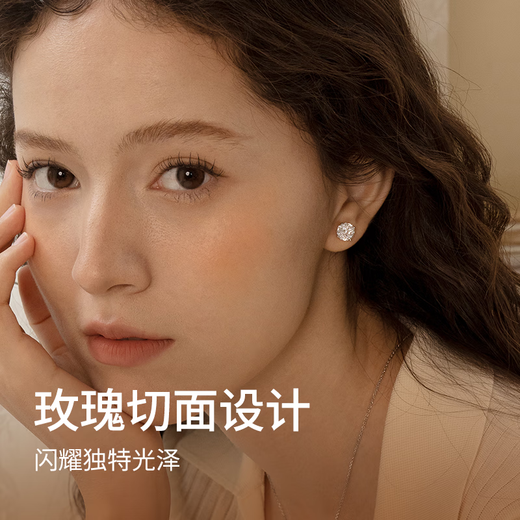 Abyb charming Zhao Lusi same style rose earrings gift box set light luxury zircon earrings exquisite jewelry gift for girlfriend rose earrings gift box