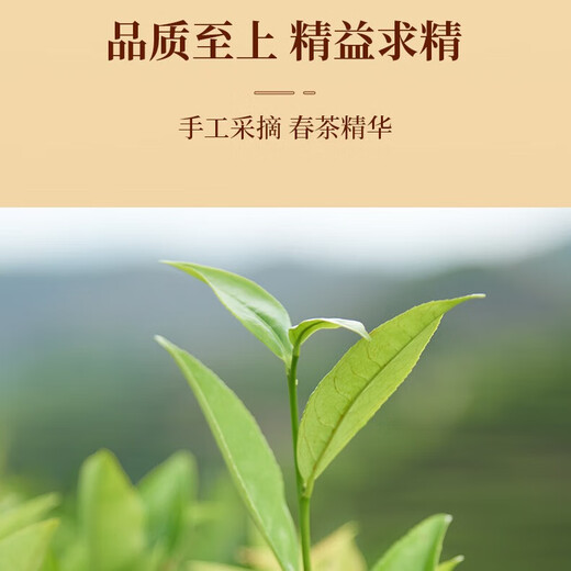 Songhuang Oolong Camellia Rhyme Serie Single Covenant Phoenix Single Cove Duck Shit Duft Special 200g Medium Fire Gift Box Tee Geschenk