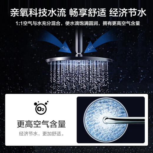 KOHLER faucet thermostatic shower faucet shower set double shower multi-function large top spray hard pipe connection 99741T