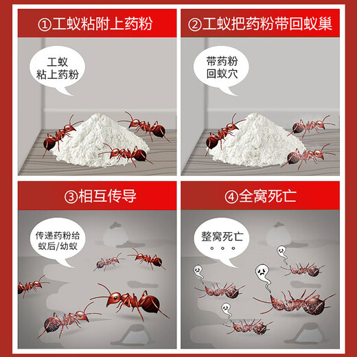 Ruifeng Huoshujing красный импортный огненный муравей специализируется на уничтожении красных импортных огненных муравьев, приманке для уничтожения муравьев, общем инсектициде 250 г * 2 бутылки на конце гнезда