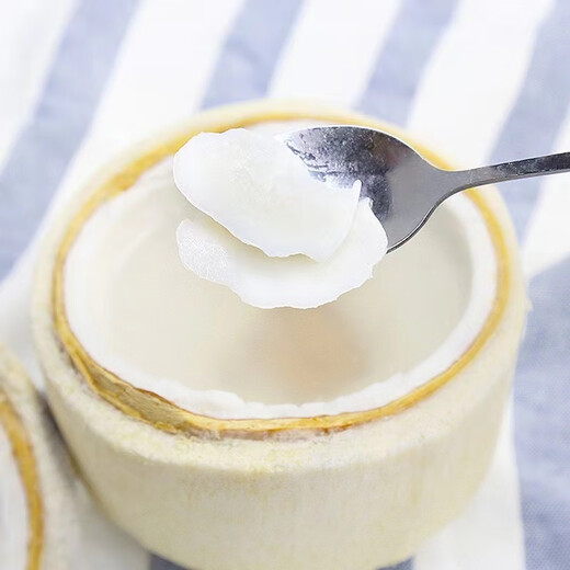 Goodfarmer Goodfarmer Thai imported coconut green single fruit 900g + free coconut opener straw fresh fruit Goodfarmer 9 pack single fruit 900g-1200g