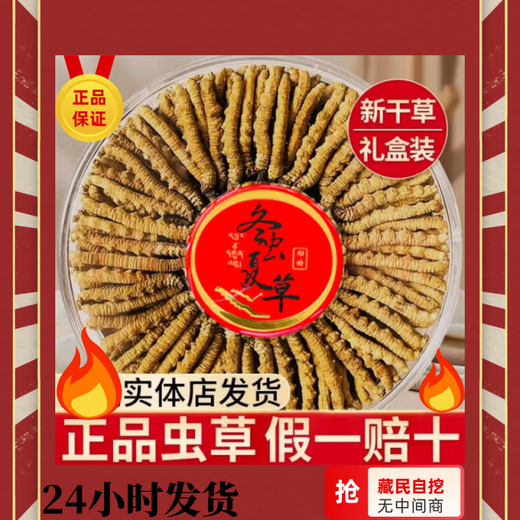 Cordyceps sinensis (10 % Rabatt auf jede Fälschung) Cordyceps sinensis-Geschenkbox, Nahrungsergänzungsmittel, frische Cordyceps-Tonika, Gesundheitsprodukte, tibetisches Nagqu 3 Stück/Gramm Cordyceps 50 Stück-Geschenkbox.