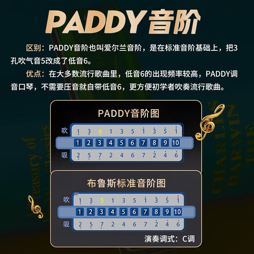 SUZUKI铃木进口C20布鲁斯10十孔PADDY调音口琴高级成人演奏儿童学生初学 10孔高端进口C20【PADDY调音】