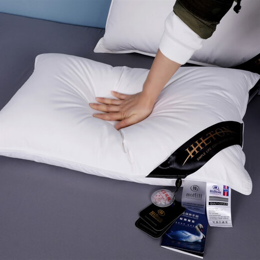 Yukdadi Hilton Down Pillow White Goose Down Pillow Core Five-Star Hotel Pillow Single Men's Pillow Comfortable Imitation Velvet Color Blue (Pair)