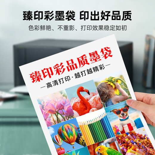 Couleur Zhenyin Compatible avec Epson WF-C869RA IMPRIMANTE ET SAG INK PX-7070 CARTRILLE À L'ENRE