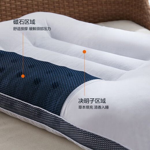Antarctic pillow core Cassia seed three-dimensional sleeping pillow core single dormitory adult cervical pillow single pack