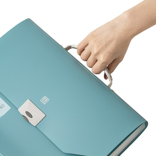 齐心（COMIX） 13格 A4立式大容量风琴包 多层可伸缩文件框收纳夹 票据资料收纳册 A6198 颜选莫兰迪软手提风琴包A4 13格随机