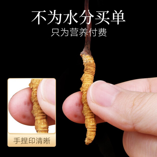 同仁堂品牌冬虫夏草约5根/g2g约10根高端营养营养滋补品长辈北京同仁堂