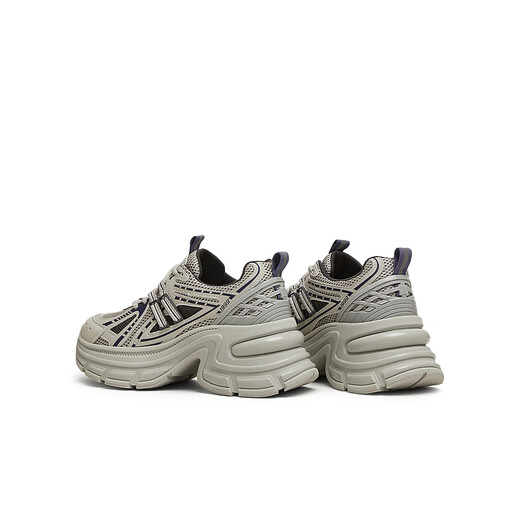 Tianmeiyi Dad Chaussures Chaussures pour femmes Mall Soms à lacets à lacets à lacets pour femmes Chaussures décontractées 2025 Spring and Automne Style BK831AM5 Silver 34