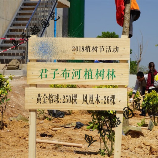 Ground sign custom wooden sign park vegetable garden vegetable field wooden grass planting area sign vertical ground sign love 10