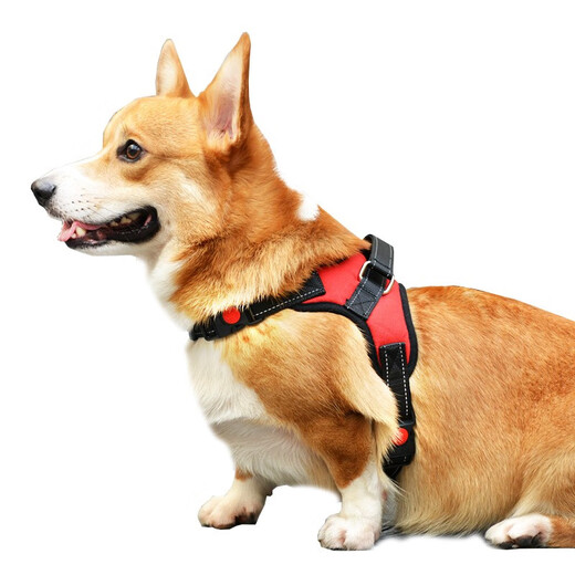 Aladdin beast dog leash leash dog harness vest type dog leash dog walking large dog Labrador shepherd golden retriever puppy explosion-proof harness + dog leash black M code recommended 18-40 Jin Jin equals 0.5 kg