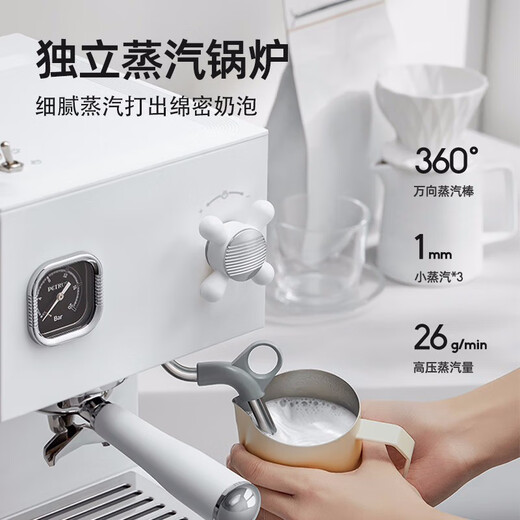 
Baicui Coffee Machine Dual Boiler Double Water Pump Household Retro Full Semi-Automatic Italian Coffee Machine with Steam Milk Froth Small All-in-One Machine Semi-Commercial PE3888 White-with Bean Grinder