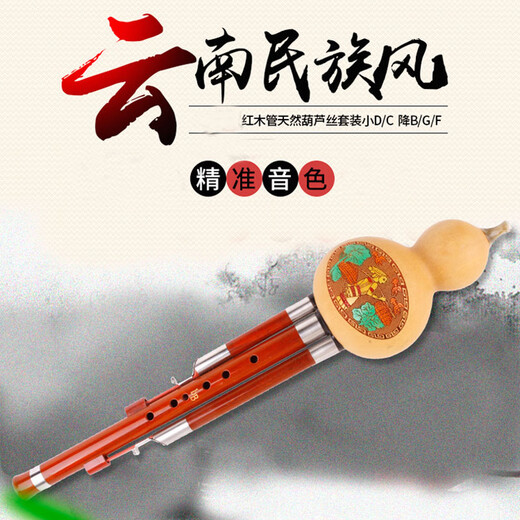 奇宝居云南丝乐红木管葫芦丝民族乐器儿童乐器葫芦丝 C调