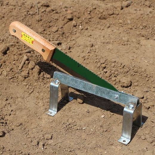 Yue Li's special scissors for cutting garlic. Garlic shearing machine for cutting garlic roots. New knife and garlic head artifact. Household manganese steel thickening tool. Thickening and sharpness - Garlic shearing artifact. 99% labor saving.