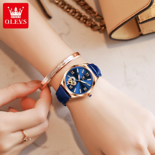 Swisss Swisss Swisss Swiss Watch Watch Женские механические часы Полностью автоматические водонепроницаемые светящиеся женские часы Hollow Diamond Set Watch Olevs-6636-голуба