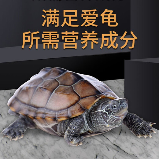 Guizhenshou Chinese tortoise special food 300g turtle food high protein, easy to absorb and strong palatability