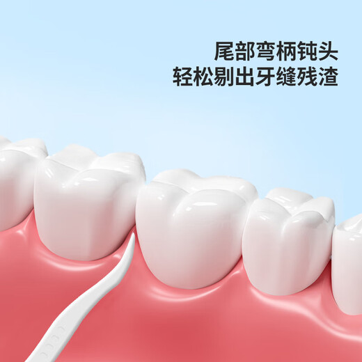 Haishi Hainuo 100 tragbare Zahnstocher zum Reinigen der Zähne, Tiefenreinigung ohne Zahnfleischverletzung, Reinigung zwischen den Zähnen, Einzelprodukt