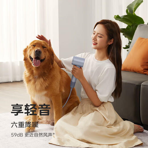 Laifen high-speed hair dryer, quick-drying household hair dryer, negative ion hair care hair dryer, leafless hair dryer, birthday gift, national subsidy, LF03 simple white