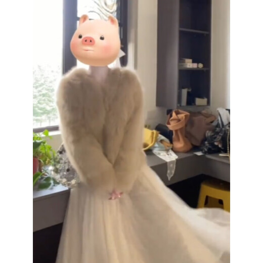 Tafu brand women's fox fur coat for women 2025 winter new small short small fragrance style fur coat apricot color L